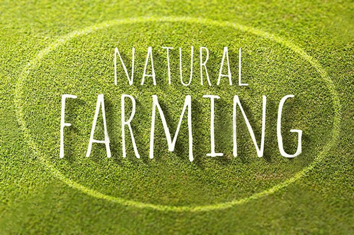 Nông nghiệp thuận tự nhiên – Phương pháp thiền trong nông nghiệp nong nghiep thuan tu nhien