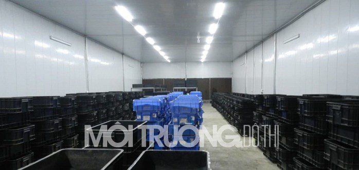 dang xa gia lam nuoi giun de xu ly chat thai cai tao moi truong 1