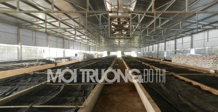 dang xa gia lam nuoi giun de xu ly chat thai cai tao moi truong