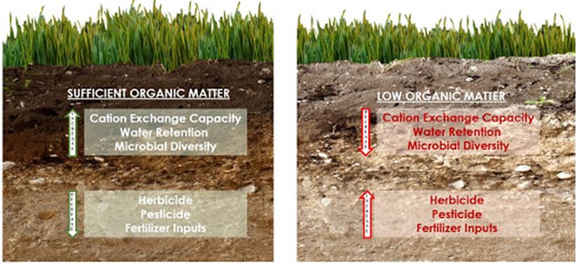 Tại sao phải cải tạo đất và phục hồi hệ sinh thái đất? dvkt cai tao dat vi sinh 1