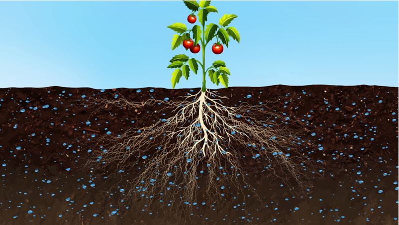 Phương pháp cải tạo đất hiệu quả bằng chế phẩm vi sinh vi sinh cai tao dat 1