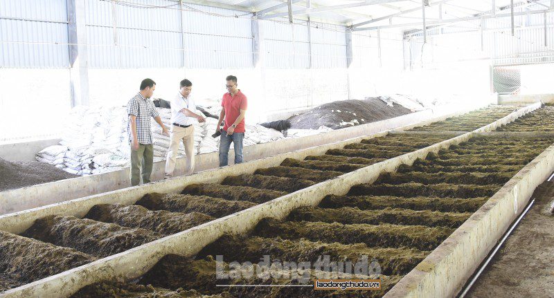 xa dang xa huyen gia lam bao ve moi truong huong den xay dung do thi van minh 1