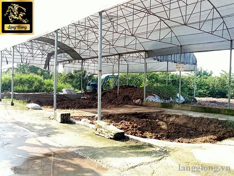 co gi dac biet o mo hinh nuoi giun nang suat cao tai lang giong