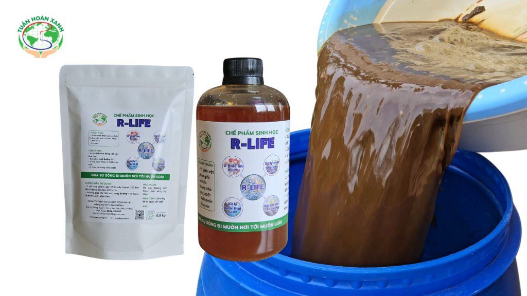 Phương Pháp Nhân Cấy Vi Sinh Thứ Cấp Từ Chế Phẩm Vi Sinh Gốc R Life