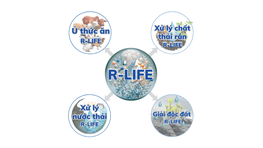 Hợp Tác Cùng Vi Sinh Vật Với Chế Phẩm Sinh Học R Life