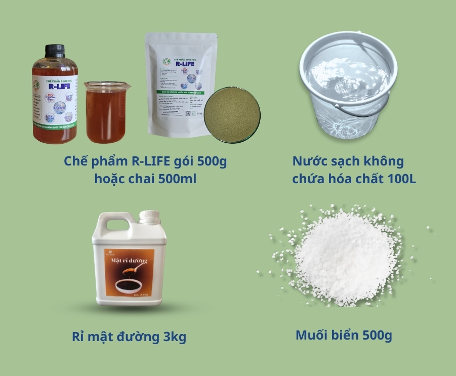 Phương Pháp Nhân Cấy Vi Sinh Thứ Cấp Từ Chế Phẩm Vi Sinh R Life Gốc