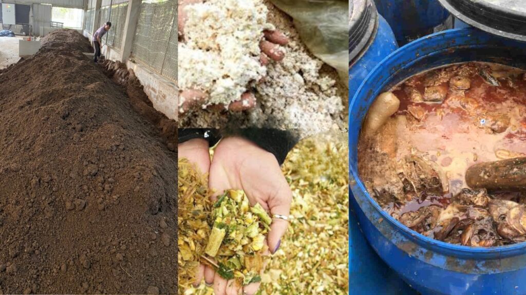 Quy Trình ủ Phân Hữu Cơ Tuần Hoàn Sinh Học Với Chế Phẩm Sinh Học R Life