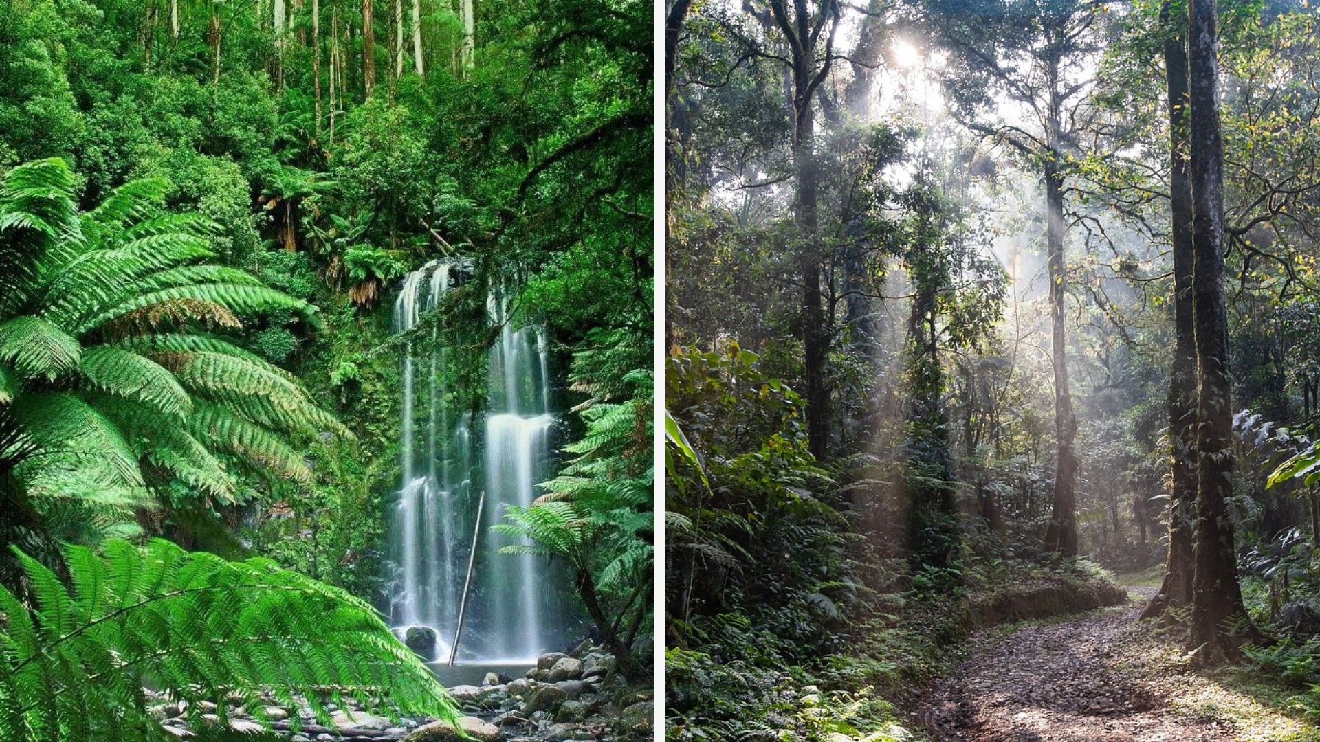 Lưới Thức ăn Lưới Thức ăn