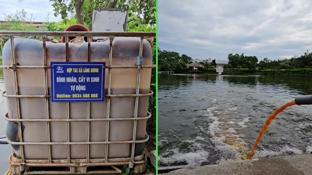 Trang chủ XỬ LÝ Ô NhiỄm KÊnh MƯƠng Ao HỒ