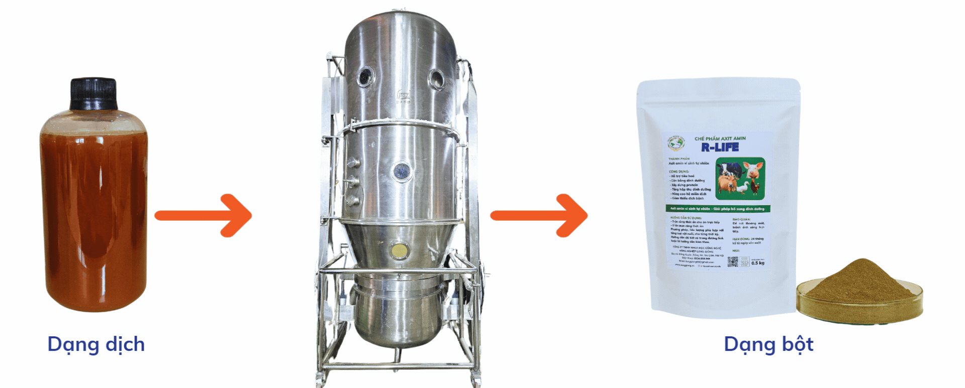 Chế Phẩm Axit Amin R Life Vai Trò Và Tính ứng Dụng Trong Chăn Nuôi Chế Phẩm Axit Amin R Life Vai Trò Và Tính ứng Dụng Trong Chăn Nuôi