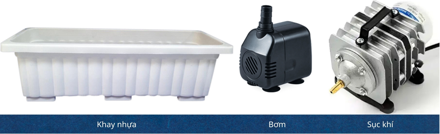 Vườn Nhỏ Tuần Hoàn Xanh: Tìm Về Hạnh Phúc Bình An