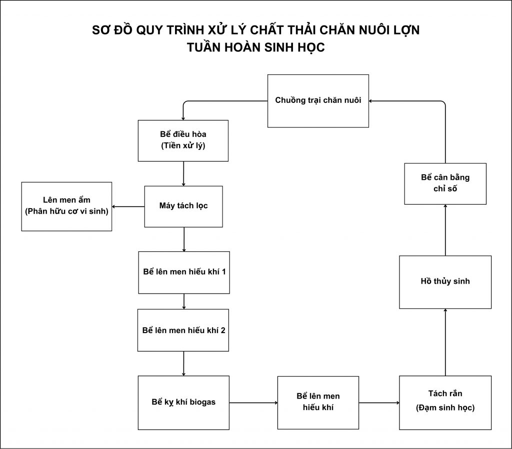 Giải Pháp Xử Lý Chất Thải Chăn Nuôi Lợn Bằng Công Nghệ Tuần Hoàn Sinh Học