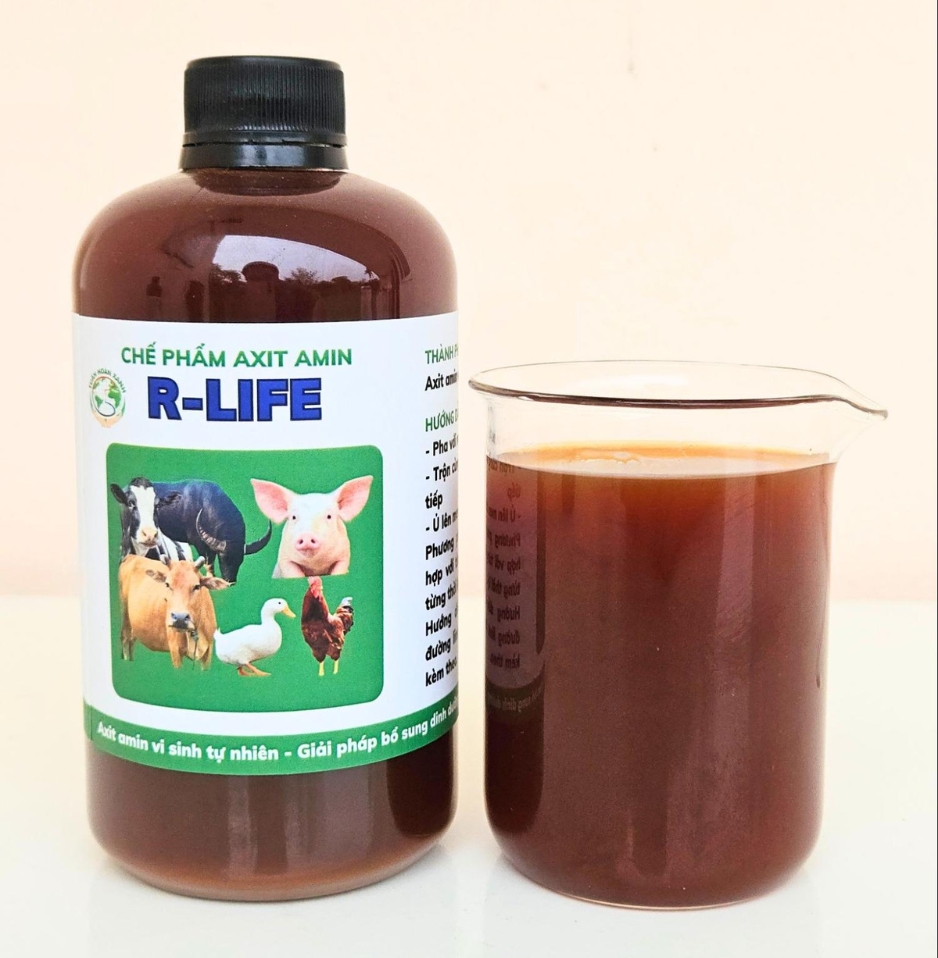 Chế Phẩm Sinh Học Axit Amin R Life