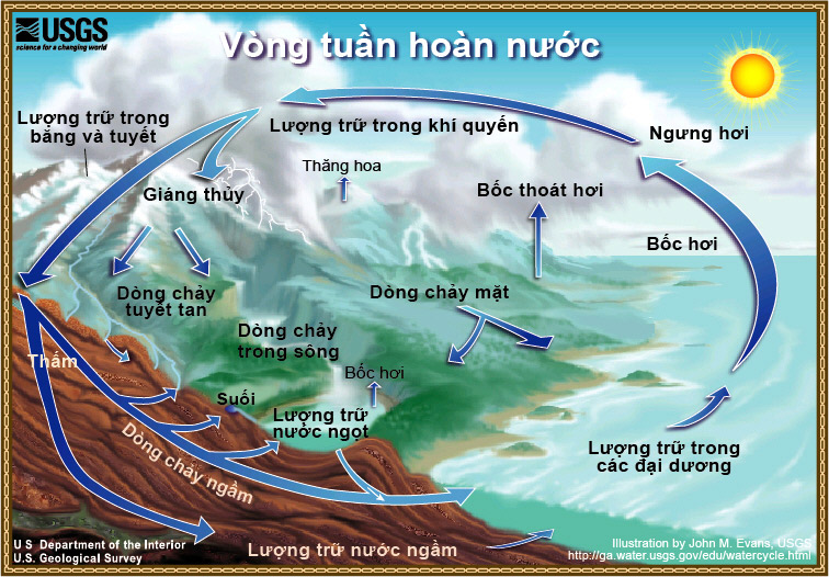 Tuần Hoàn Sinh Học