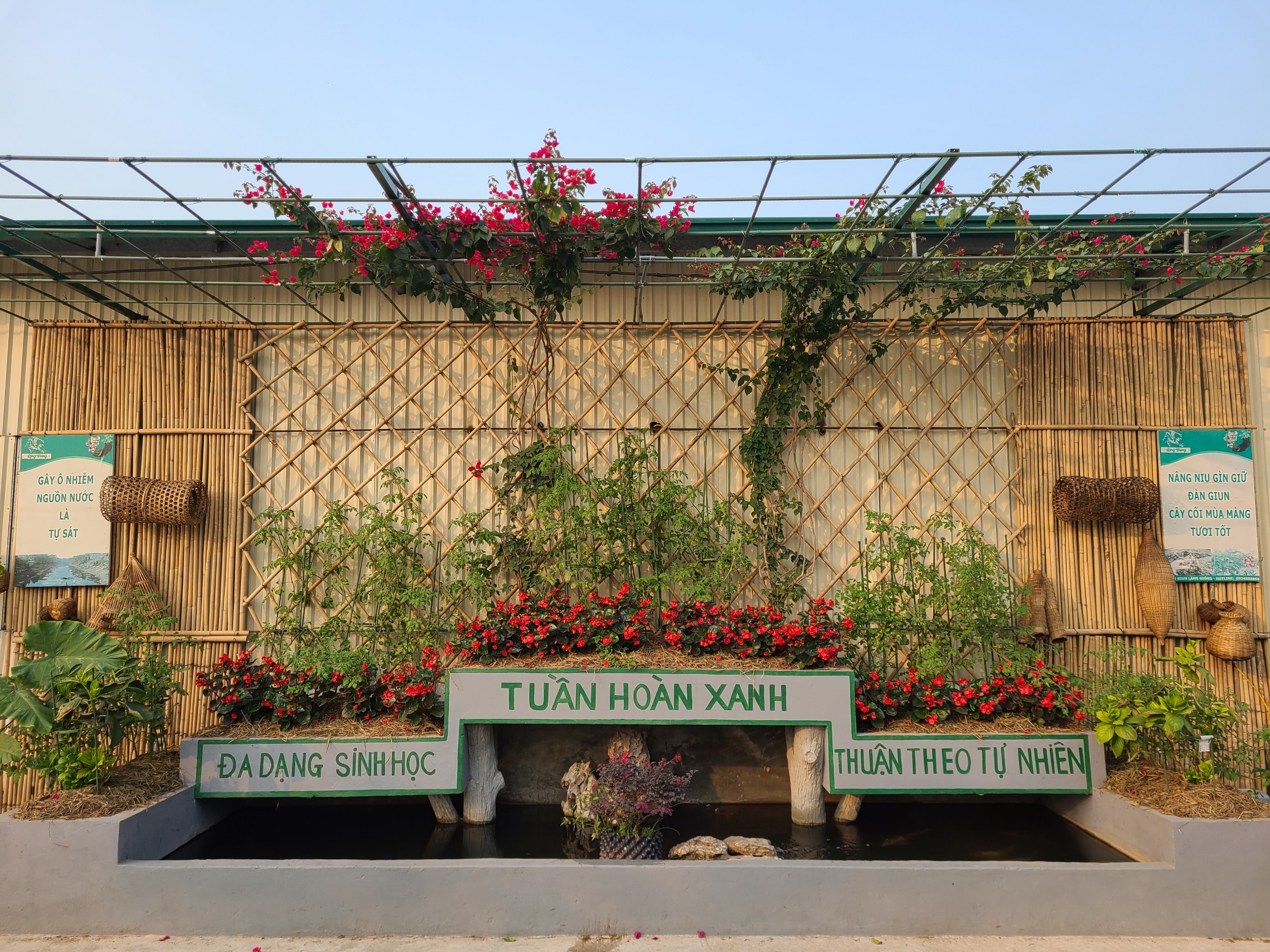 Vườn Nhỏ Tuần Hoàn Xanh: Tìm Về Hạnh Phúc Bình An