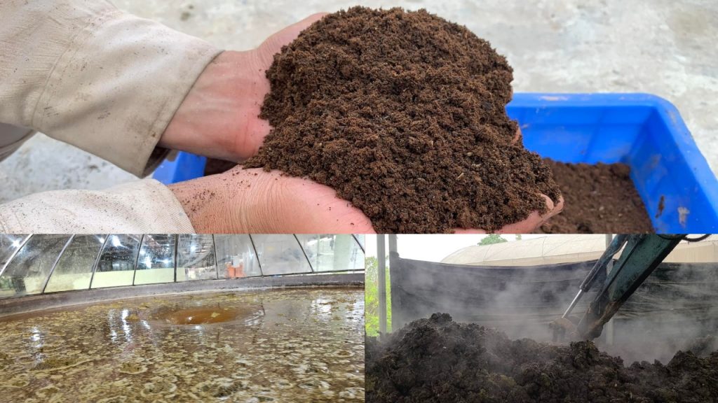 Trang chủ Phân Hữu Cơ R Life: Giải Pháp Tuần Hoàn Sinh Học Biến Chất Thải Thành Tài Nguyên