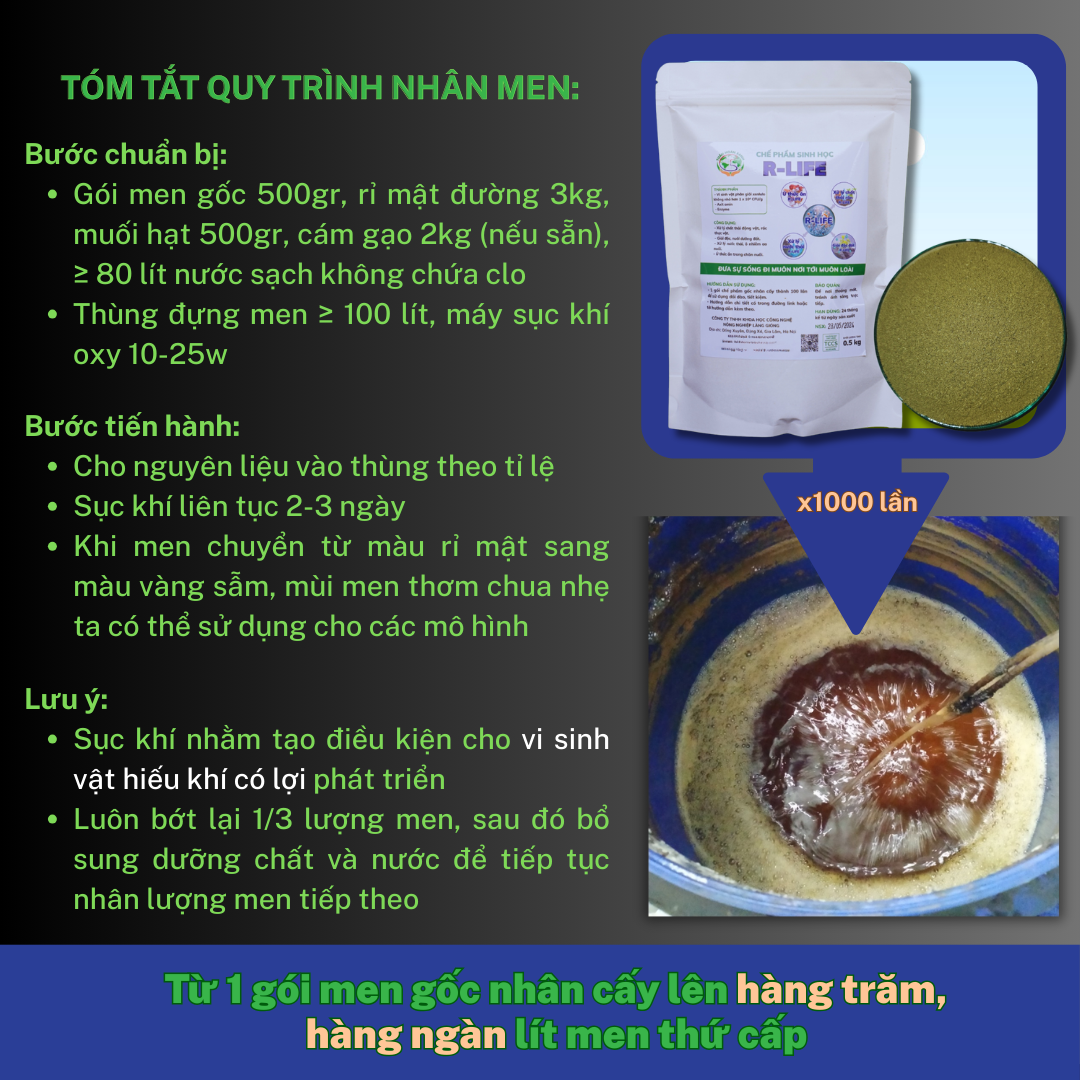 Từ 1 Gói 500gr Nhân Cấy Lên Hàng Trăm, Ngàn Lít Men Thứ Cấp ứng Dụng Cho Các Mô Hình